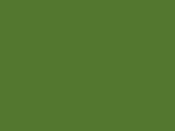 Bonaire Green Color Chip